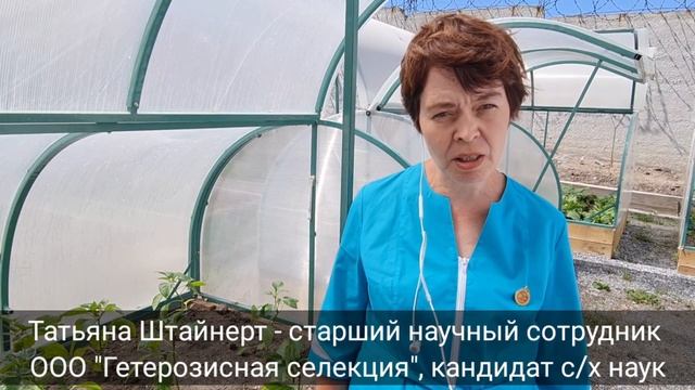 Как правильно поливать растения в жару смотреть онлайн