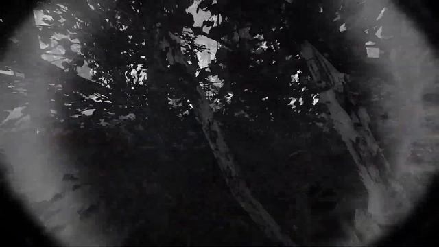 red forest redemption смотреть онлайн