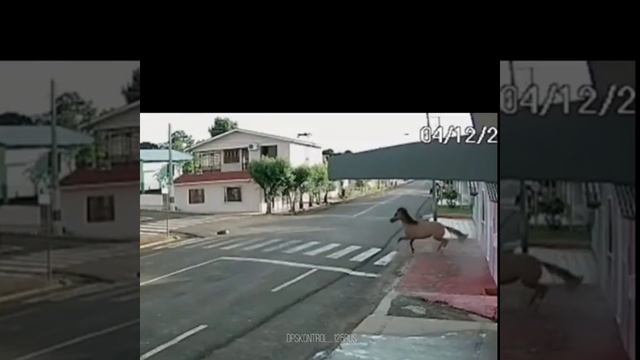 отказали тормоза🤣🤣🤣