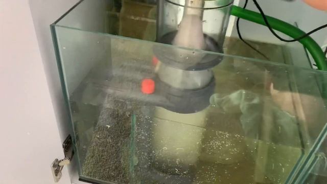 How to fix a protein skimmer смотреть онлайн