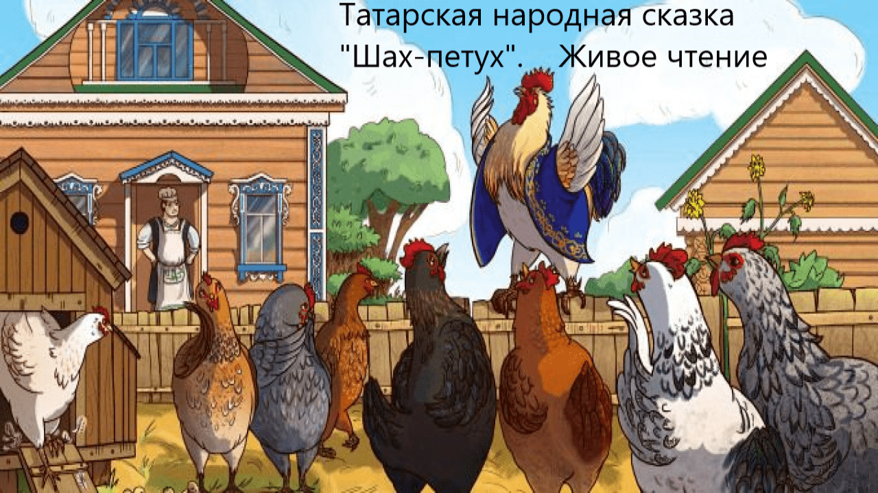 Татарская народная сказка "Шах-петух". Живое чтение смотреть онлайн