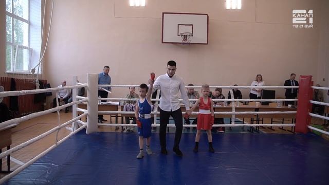 Турнир по боксу памяти Ивана Нечаева смотреть онлайн