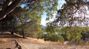 Один день из жизни программиста США Калифорния