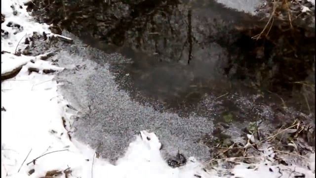 184ый день в деревне Дверь в баню и пол смотреть онлайн