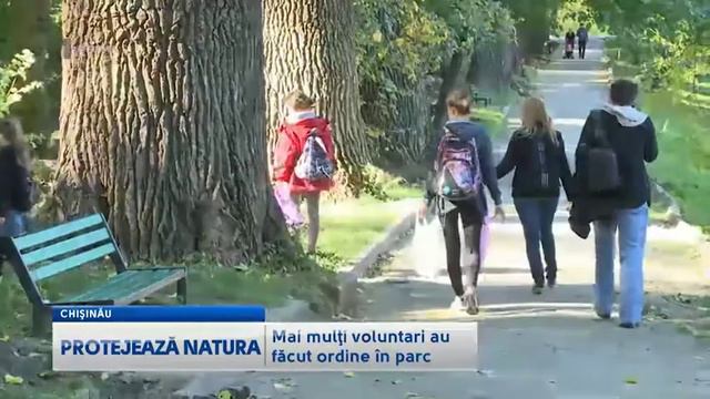 Уборка парка Долина Роз. Репортаж смотреть онлайн