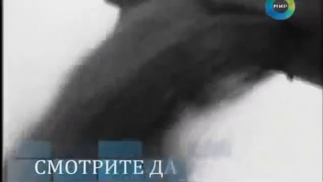 Застоя в СССР не было. Был расцвет в экономике смотреть онлайн