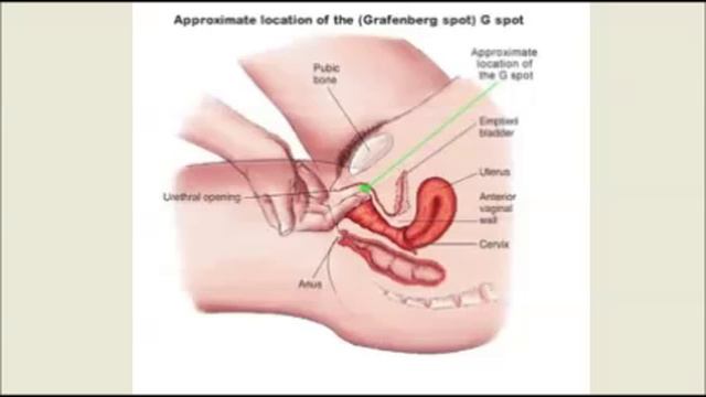 Точка G смотреть онлайн