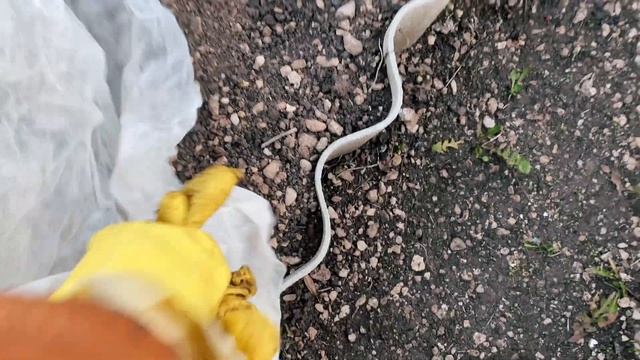 Дача влог 12. Купили дачу со всем содержимым.Делаем шашлык в советской буржуйке.Сажаем морковку смотреть онлайн