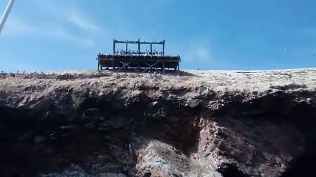Старый причал на островах (птицы) смотреть онлайн