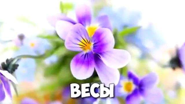 Цветы гороцкоп смотреть онлайн