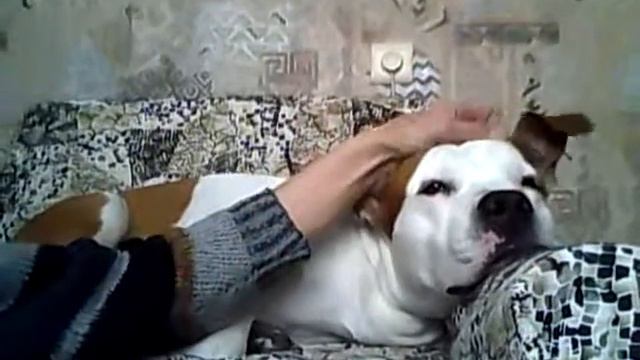 Мой друг смотреть онлайн