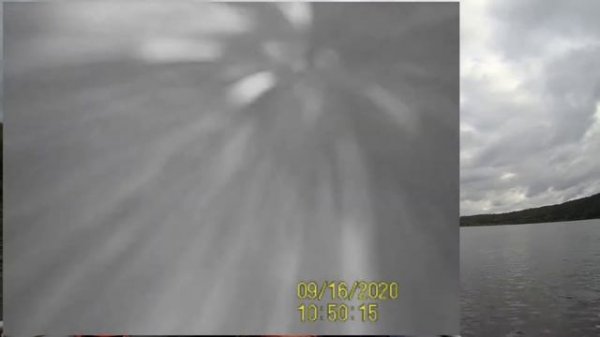 Камера КАЛИПСО Calypso отзыв владельца