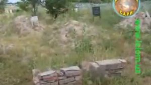 Хайрулла Хамидов.           Индамаслар олами сайр айладим.