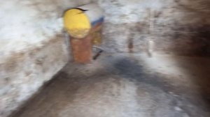 НОВЫЙ СВИНАРНИК  НА 20 ГОЛОВ .  Итоги его использование , плюсы и минусы