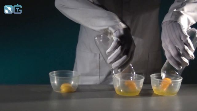 Азартные яйца - физико-кулинарный опыт смотреть онлайн