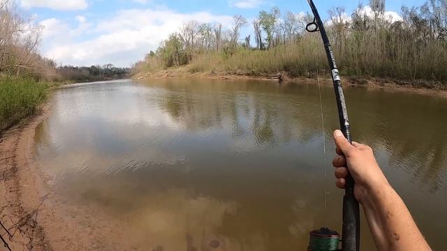 Giant Bullfrogs For Bait Catch Monster Fish