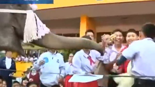 25 12 14 Католическое рождество в Тайланде смотреть онлайн