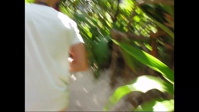 Остров Майа Бей (Maya Bay) смотреть онлайн