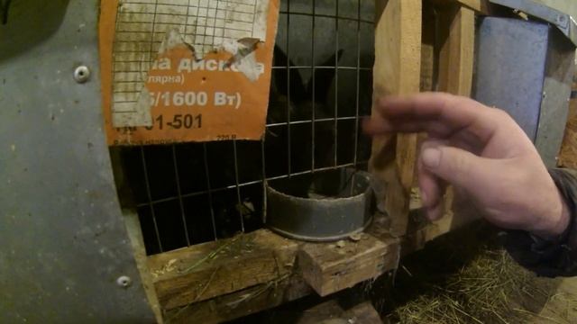 Cамые простые и дешёвые поилки для кроликов. смотреть онлайн