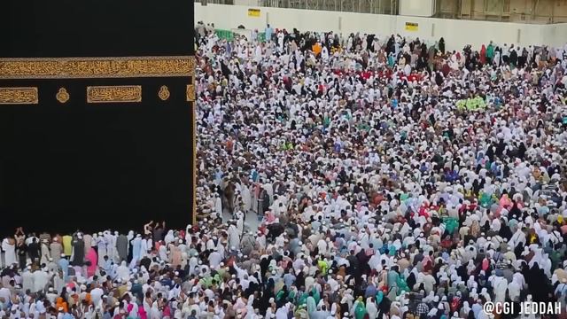 Haj Guide 2023 (Urdu) - By Consulate General of India, Jeddah смотреть онлайн