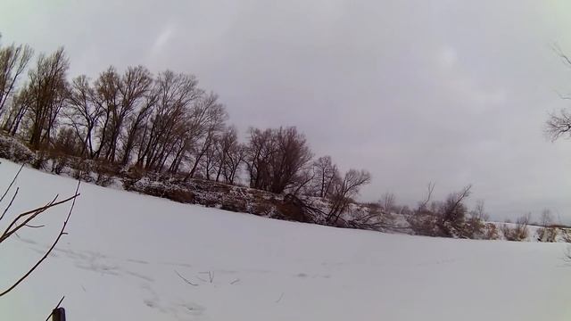 Охота на Косулю,загонная охота на косулю,Сибирская косуля смотреть онлайн