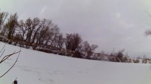 Охота на Косулю,загонная охота на косулю,Сибирская косуля