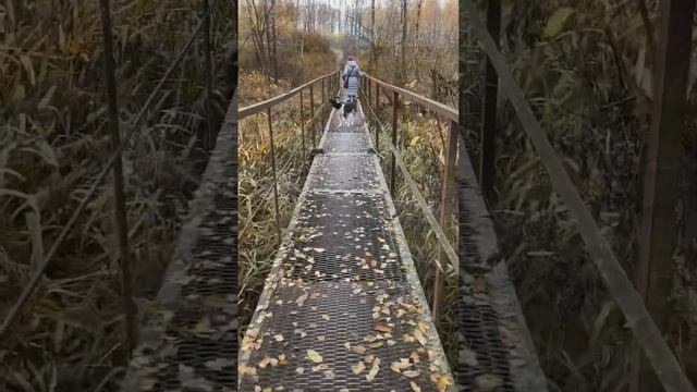 Отдых в Беларуси . Достопримечательность смотреть онлайн