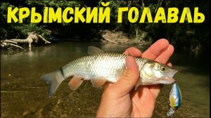 ГОЛАВЛЬ на реке Бельбек☑️ Рыбалка в КРЫМУ☑️
