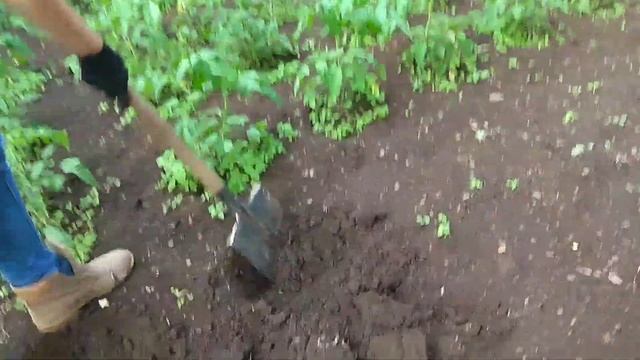 КУПИЛИ СТАРЫЙ ДОМ. БЛАГОУСТРОЙСТВО ДАЧИ. РЕМОНТ ДАЧИ. ПРОВЕЛИ ИНТЕРНЕТ. жизнь в деревне смотреть онлайн