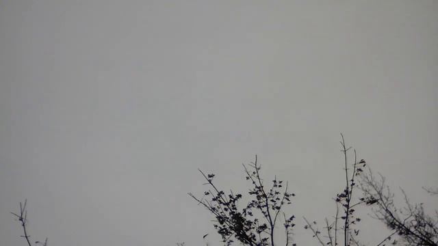 к нам пришла туча