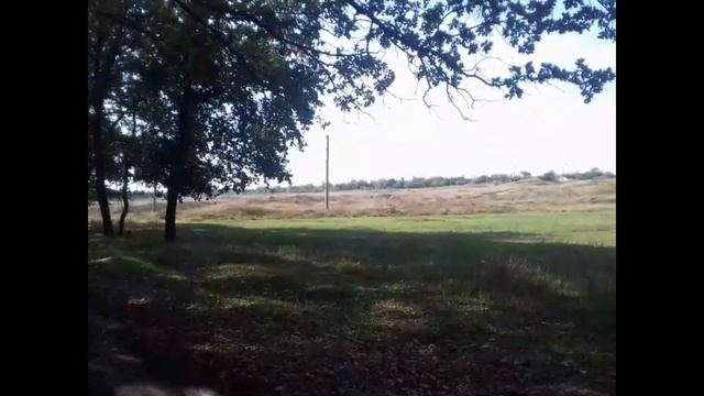 |Делаем трамплины| Поехали в лес смотреть онлайн