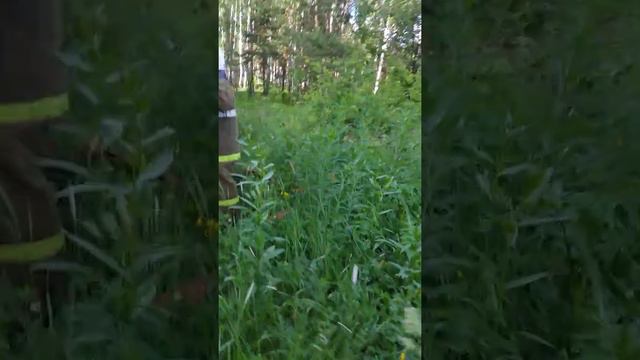 Горит мусорная яма в Кольцовском лесу!!! смотреть онлайн