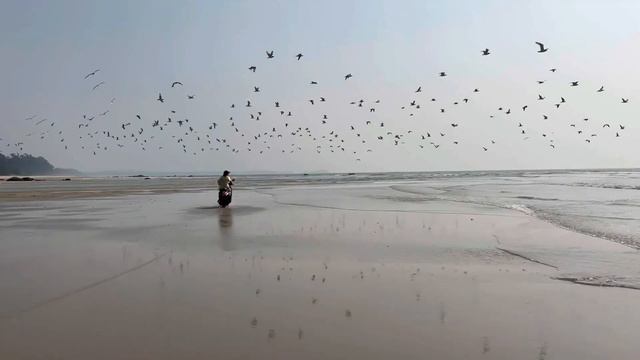 Nepal смотреть онлайн