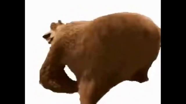 МЕДВЕДЬ ТВЁРКАЕТ ПОД ДАБСТЕП 10 ЧАСОВ