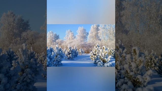 Любимый город Тобольск. Фотоподборка. смотреть онлайн