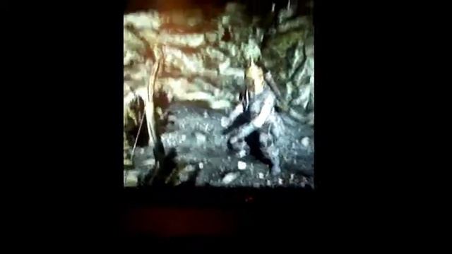 Skyrim Glitch смотреть онлайн