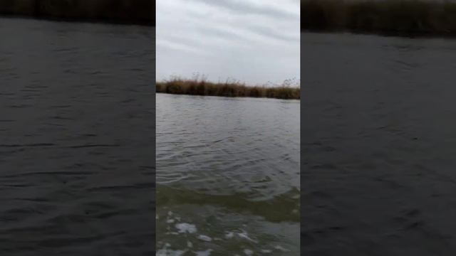 Буденновск. рыбалка. 3 буйвола. смотреть онлайн