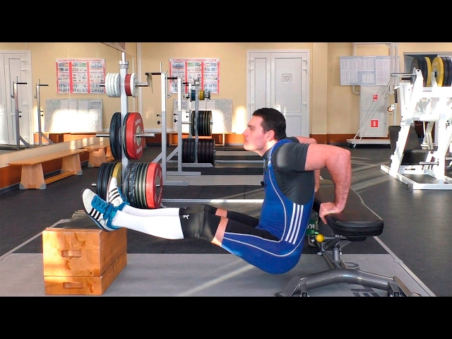 Отжимания от лавки сзади: 4 варианта сложности смотреть онлайн