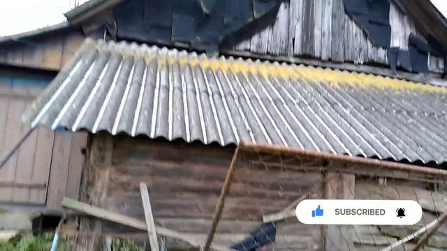 Покупаем дом в белорусской деревне до 8000$ смотреть онлайн