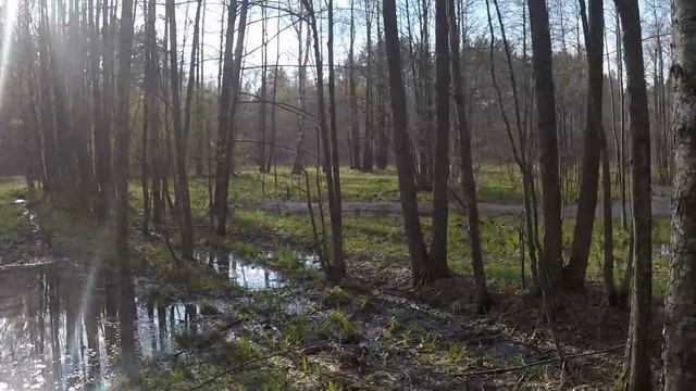 03.05.2022 Nissan Patrol Y61 4,8 L и ZD 30 на 42 тракторах. смотреть онлайн