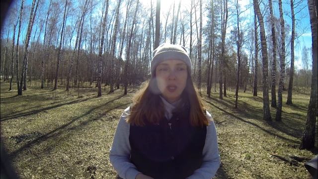 Мастерство и Развитие