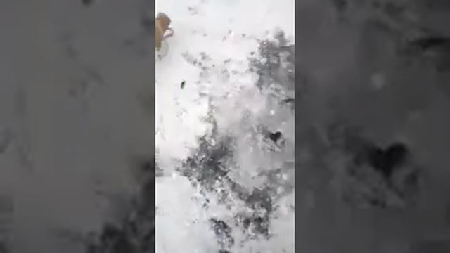 Первая щука , первый лёд смотреть онлайн