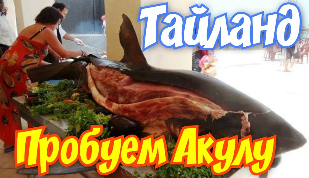 Пхукет 2022 Пробуем АКУЛУ и СКАТА а так же ТАЙСКИЙ МАССАЖ #тайланд #пхукет #тайландпхукет #акула смотреть онлайн