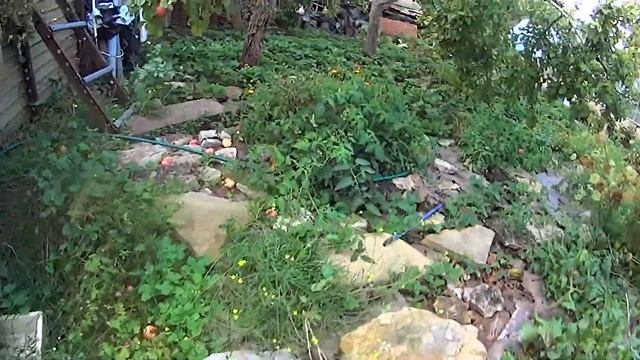 Картофель и дождевые черви под картоном 2 смотреть онлайн