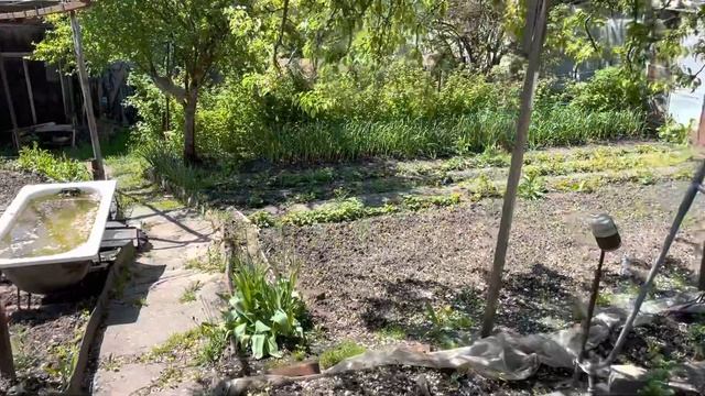 Дача Ставрополь май 2021 смотреть онлайн