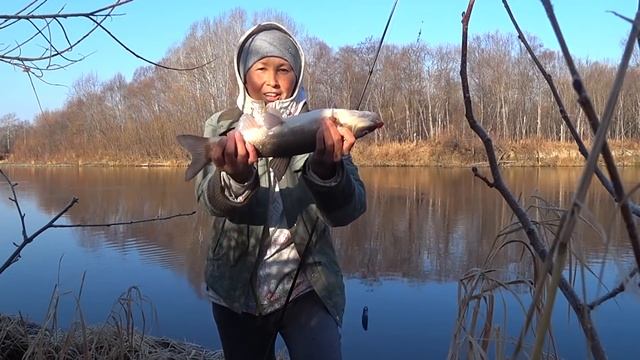 Рыбалка на Тыми. Много ли ела моллюсков сахалинка .. смотреть онлайн