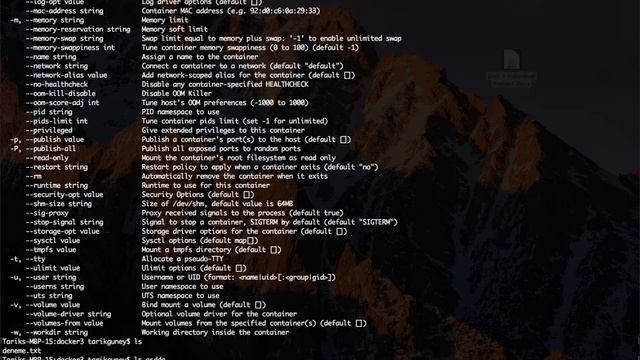 Docker Öğreniyorum - Dördüncü Bölüm - STDIN ve STDOUT смотреть онлайн