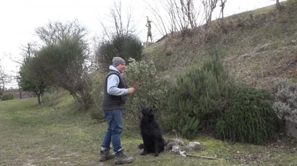 Soziales Spiel - Beutezerrspiel