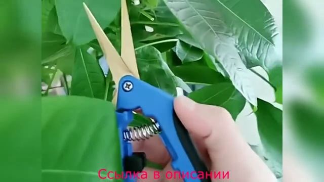Ножницы садовые для обрезки растений с Алиэкспресс. смотреть онлайн