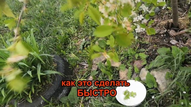 5 лайфхаков от ленивого САДОВОДА. Как не уставать на огороде, в саду смотреть онлайн